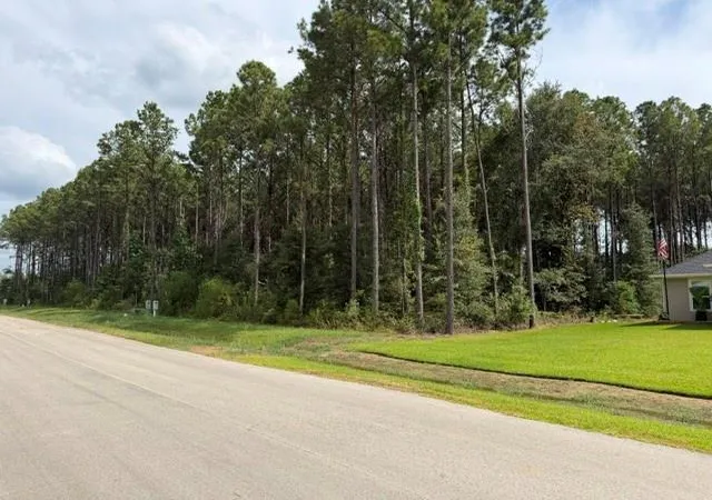 Photo 2 of Land for sale at 1546 Road 66114, Dayton, TX 77535 | MLS# 54655804 | Listing updated on 2026-09-03