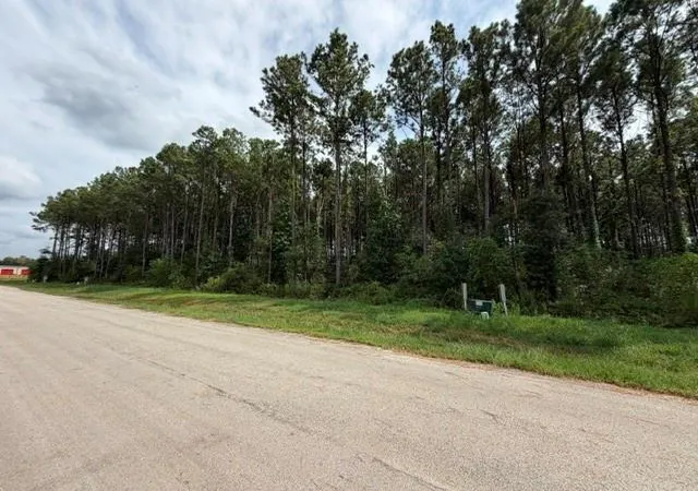 Photo 4 of Land for sale at 1546 Road 66114, Dayton, TX 77535 | MLS# 54655804 | Listing updated on 2026-09-03