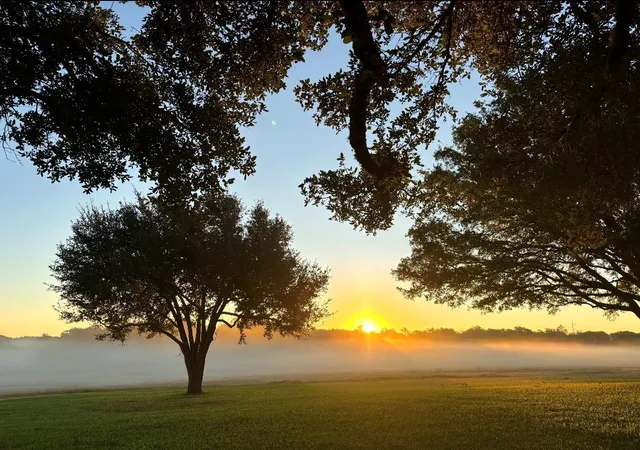 Photo 1 of Land for sale at 4203 Old Ml Crk Rd, Brenham, TX 77833 | MLS# 98516814 | Listing updated on 2026-10-02