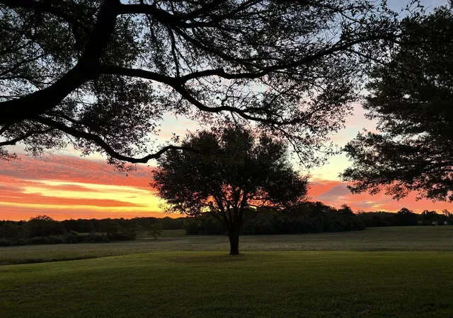Photo 3 of Land for sale at 4203 Old Ml Crk Rd, Brenham, TX 77833 | MLS# 98516814 | Listing updated on 2026-10-02
