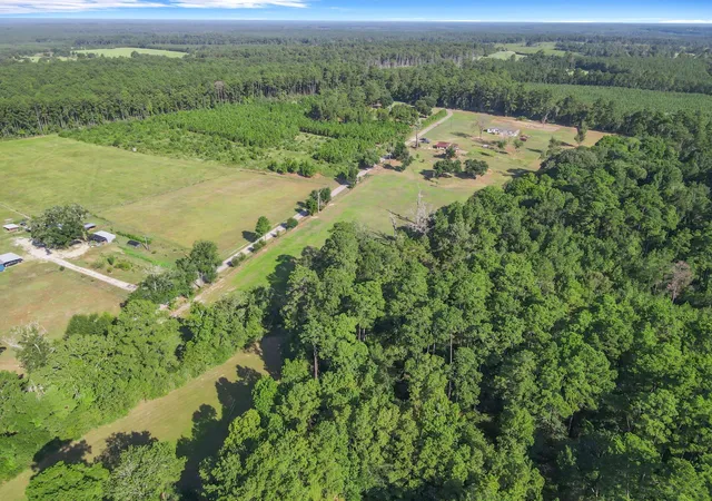 Photo 2 of Land for sale at 565 County Rd 333a, Kirbyville, TX 75956 | MLS# 3741286 | Listing updated on 2026-09-01