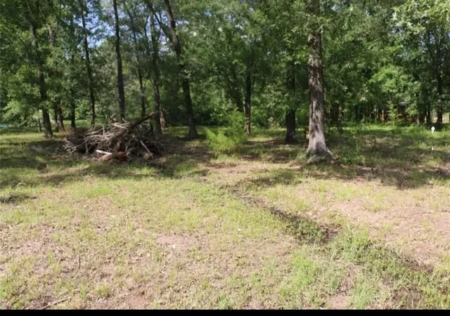 Photo 3 of Land for sale at 235 Panther Ln, Livingston, TX 77351 | MLS# 12272813 | Listing updated on 2026-09-16