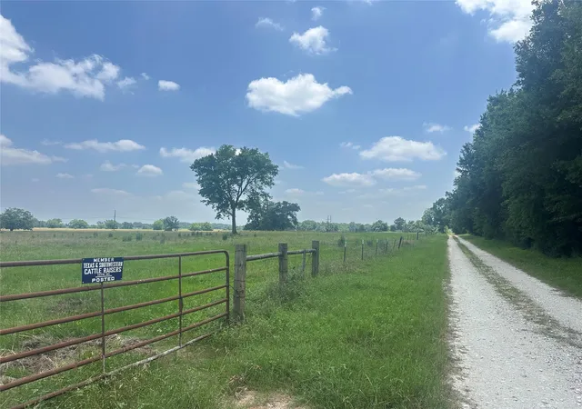 Land for sale at 123ac Cr 234, Oakwood, TX 75855 | MLS# 80549991