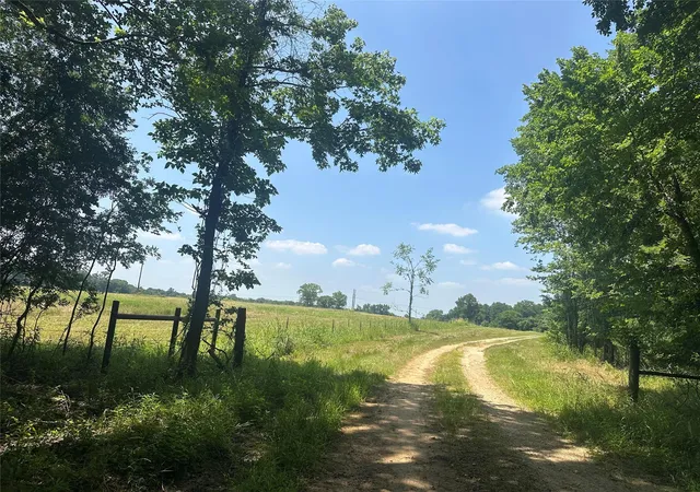 Photo 1 of Land for sale at 123ac Cr 234, Oakwood, TX 75855 | MLS# 80549991 | Listing updated on 2026-09-22