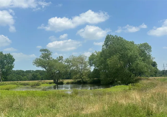 Photo 2 of Land for sale at 123ac Cr 234, Oakwood, TX 75855 | MLS# 80549991 | Listing updated on 2026-09-22