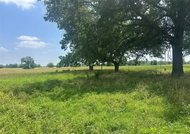 Photo 4 of Land for sale at 123ac Cr 234, Oakwood, TX 75855 | MLS# 80549991 | Listing updated on 2026-09-22