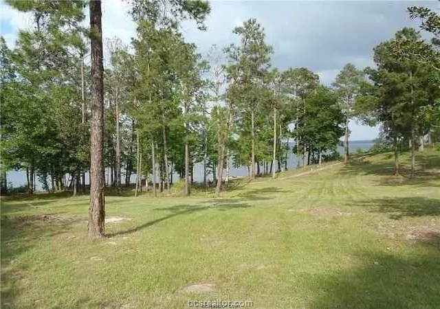 Photo 2 of Land for sale at 1888 Prt Of Private Rd 6065, Jasper, TX 75951 | MLS# 15640859 | Listing updated on 2026-09-02