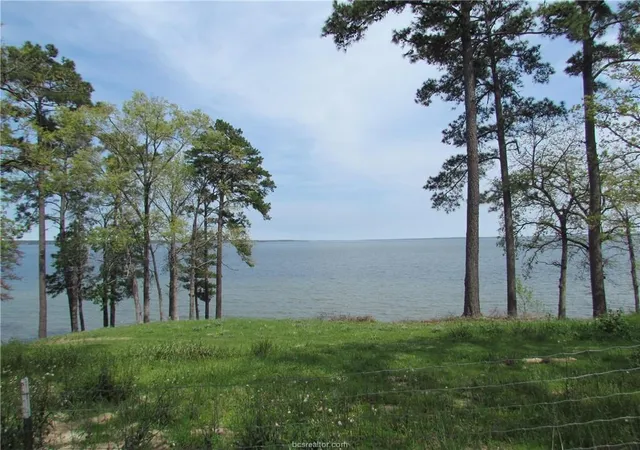 Photo 3 of Land for sale at 1888 Prt Of Private Rd 6065, Jasper, TX 75951 | MLS# 15640859 | Listing updated on 2026-09-02