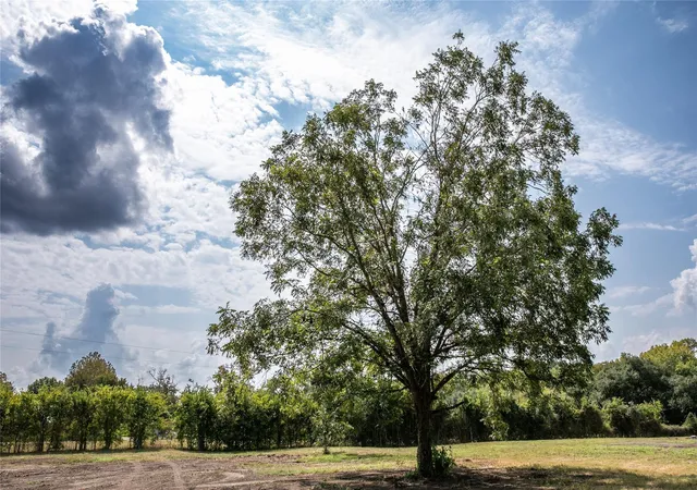 Photo 3 of Land for sale at Tract Two   400 S Railroad St, Burton, TX 77835 | MLS# 39498311 | Listing updated on 2026-09-08