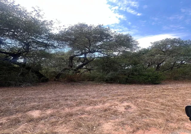 Photo 2 of Land for sale at 000 E 1st St At Ave G St, Sheridan, TX 77475 | MLS# 94413464 | Listing updated on 2026-10-07