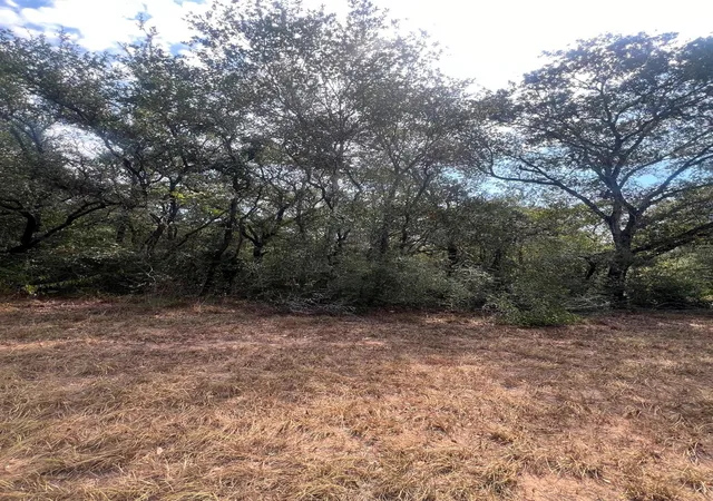 Photo 4 of Land for sale at 000 E 1st St At Ave G St, Sheridan, TX 77475 | MLS# 94413464 | Listing updated on 2026-10-07