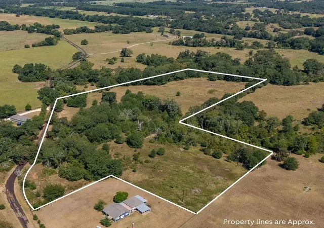 Photo 13 of Land for sale at Tbd County Rd 320, Centerville, TX 75833 | MLS# 12149488 | Listing updated on 2026-09-03