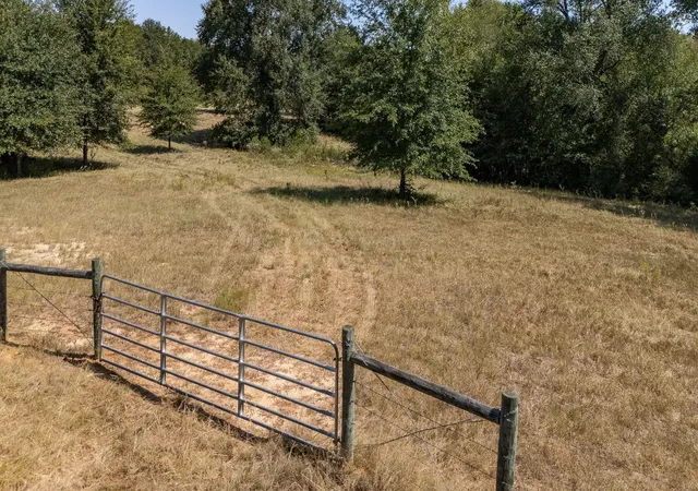 Photo 1 of Land for sale at Tbd County Rd 320, Centerville, TX 75833 | MLS# 12149488 | Listing updated on 2026-09-03