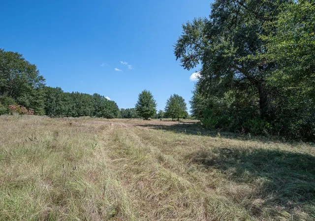 Photo 2 of Land for sale at Tbd County Rd 320, Centerville, TX 75833 | MLS# 12149488 | Listing updated on 2026-09-03