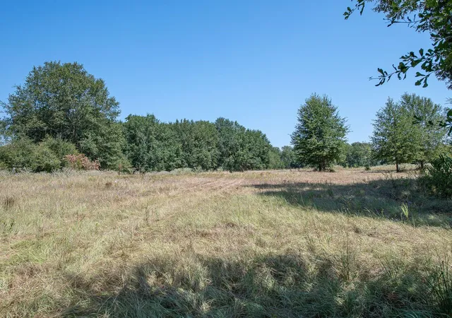 Photo 2 of Land for sale at Tbd County Rd 320, Centerville, TX 75833 | MLS# 12149488 | Listing updated on 2026-09-03