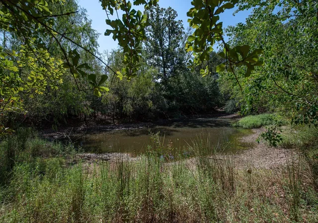 Photo 3 of Land for sale at Tbd County Rd 320, Centerville, TX 75833 | MLS# 12149488 | Listing updated on 2026-09-03