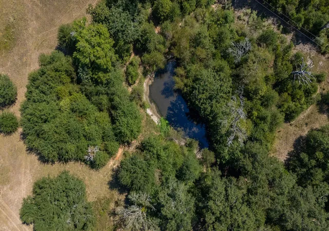 Photo 4 of Land for sale at Tbd County Rd 320, Centerville, TX 75833 | MLS# 12149488 | Listing updated on 2026-09-03
