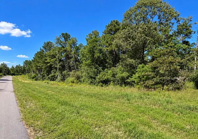 Photo 3 of Land for sale at 16302 Golden Wood Ct, Willis, TX 77378 | MLS# 87853413 | Listing updated on 2026-10-03
