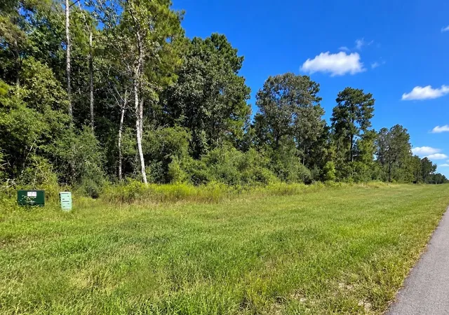 Photo 4 of Land for sale at 16302 Golden Wood Ct, Willis, TX 77378 | MLS# 87853413 | Listing updated on 2026-10-03