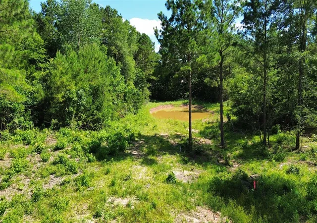 Photo 2 of Land for sale at 492 County Rd 4872 11, Timpson, TX 75975 | MLS# 57363298 | Listing updated on 2026-09-15