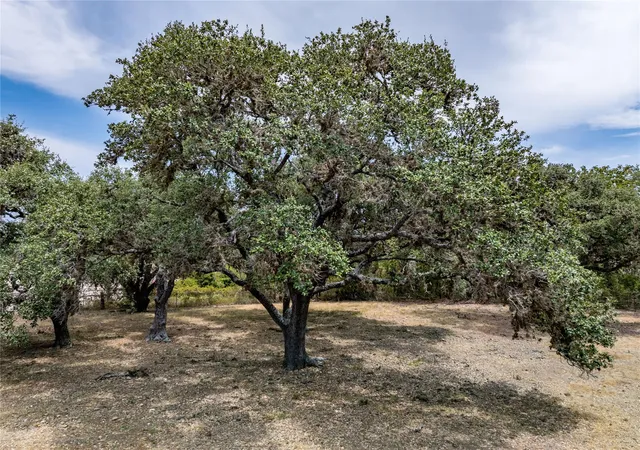 Photo 3 of Land for sale at Tbd Roitsch Ln, La Grange, TX 78945 | MLS# 78280090 | Listing updated on 2026-10-01