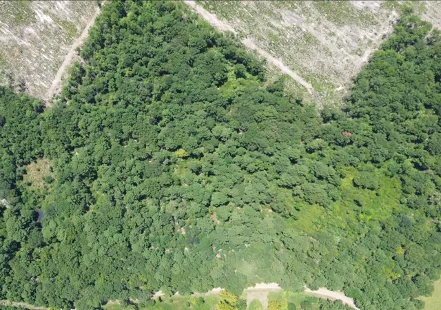 Photo 2 of Land for sale at 1853ac Cr 3103, Call, TX 75933 | MLS# 95488184 | Listing updated on 2026-09-12