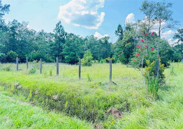 Photo 3 of Single family home for sale at 2736 Whitetail Forest Rd, Kountze, TX 77625 | MLS# 37543634 | Listing updated on 2026-09-11