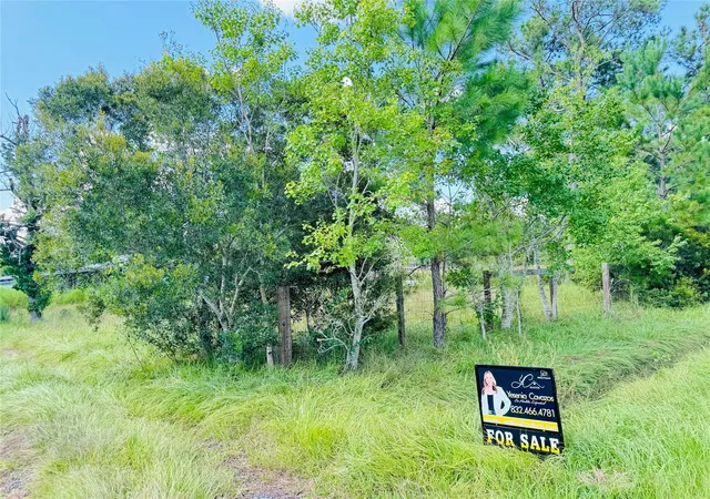 Photo 4 of Single family home for sale at 2736 Whitetail Forest Rd, Kountze, TX 77625 | MLS# 37543634 | Listing updated on 2026-09-11
