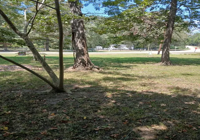 Photo 3 of Land for sale at T B D Meridian, Livingston, TX 77351 | MLS# 91832728 | Listing updated on 2026-09-07