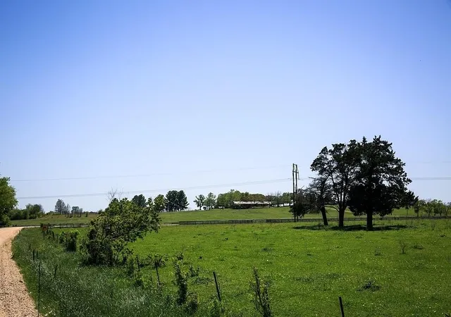 Photo 1 of Sale Pending at Tbd Caney Crk Rd, Chappell Hill, TX 77426 | MLS# 15138706 | Listing updated on 2026-09-23