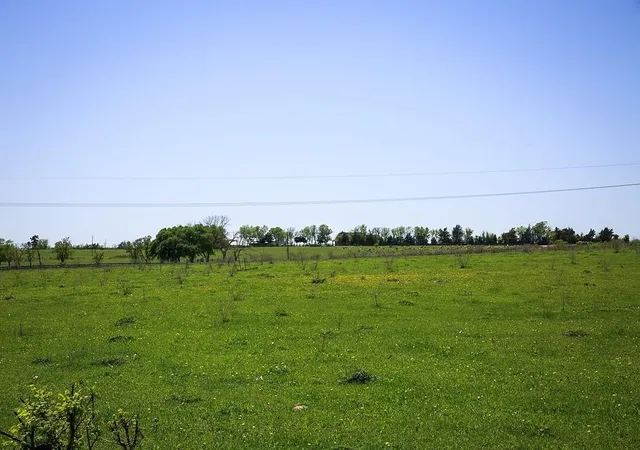 Photo 3 of Sale Pending at Tbd Caney Crk Rd, Chappell Hill, TX 77426 | MLS# 15138706 | Listing updated on 2026-09-23
