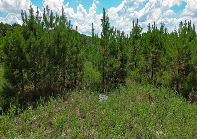 Land for sale at 0 Cherokee Trl, Lovelady, TX 75851 | MLS# 74094133