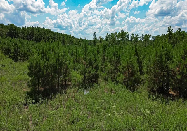Photo 2 of Land for sale at 0 Cherokee Trl, Lovelady, TX 75851 | MLS# 74094133 | Listing updated on 2026-09-16