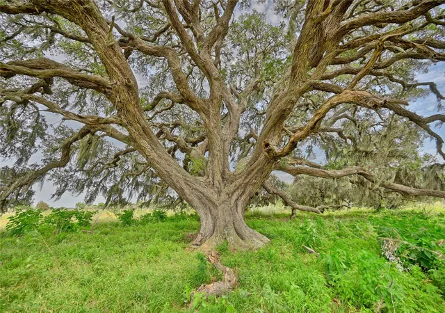 Photo 3 of Land for sale at 000 0 Kramr Rd, Fayetteville, TX 78940 | MLS# 95769967 | Listing updated on 2026-09-22