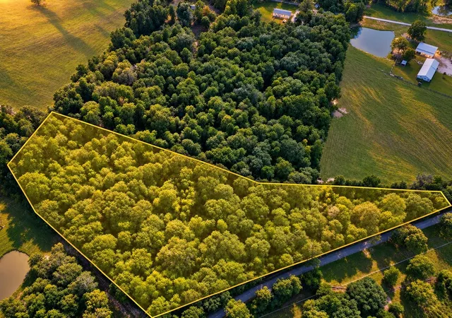 Land for sale at 00 Shraderville Rd, Shepherd, TX 77371 | MLS# 53795140