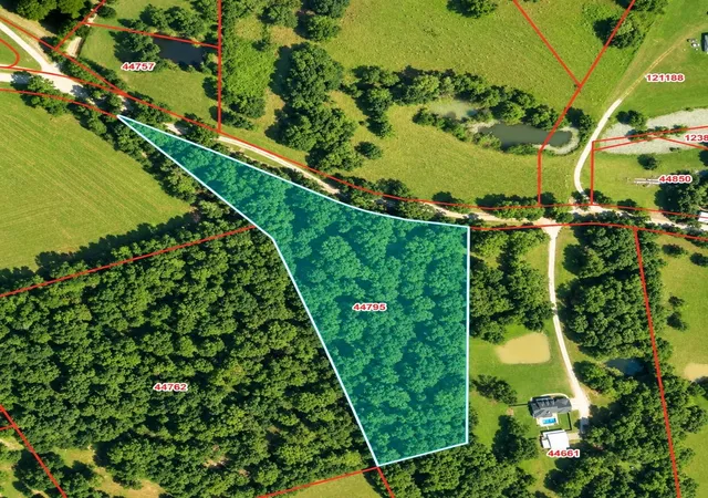 Photo 3 of Land for sale at 00 Shraderville Rd, Shepherd, TX 77371 | MLS# 53795140 | Listing updated on 2026-09-22