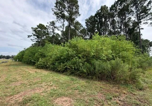 Photo 3 of Land for sale at 161 County Road 6614, Dayton, TX 77535 | MLS# 89498515 | Listing updated on 2026-09-02