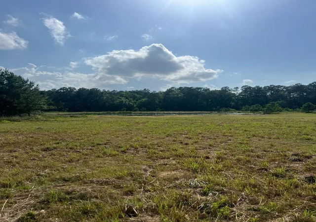 Photo 1 of Land for sale at 24980 Blackburn Dr, Splendora, TX 77372 | MLS# 5206251 | Listing updated on 2026-09-03