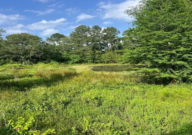 Photo 2 of Land for sale at 24980 Blackburn Dr, Splendora, TX 77372 | MLS# 5206251 | Listing updated on 2026-09-03