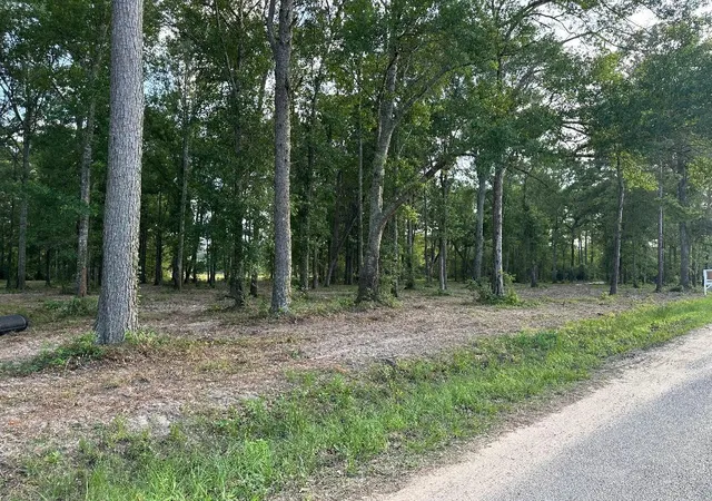 Photo 3 of Land for sale at 24980 Blackburn Dr, Splendora, TX 77372 | MLS# 5206251 | Listing updated on 2026-09-03