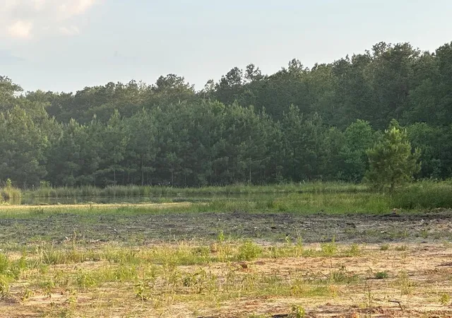 Photo 3 of Land for sale at 24980 Blackburn Dr, Splendora, TX 77372 | MLS# 5206251 | Listing updated on 2026-09-03
