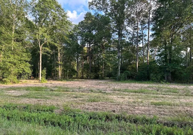 Photo 4 of Land for sale at 24980 Blackburn Dr, Splendora, TX 77372 | MLS# 5206251 | Listing updated on 2026-09-03