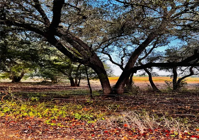 Photo 2 of Land for sale at 6300 Sand Rock, La Grange, TX 78945 | MLS# 62732031 | Listing updated on 2026-09-27