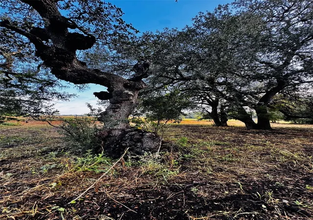Photo 4 of Land for sale at 6300 Sand Rock, La Grange, TX 78945 | MLS# 62732031 | Listing updated on 2026-09-27