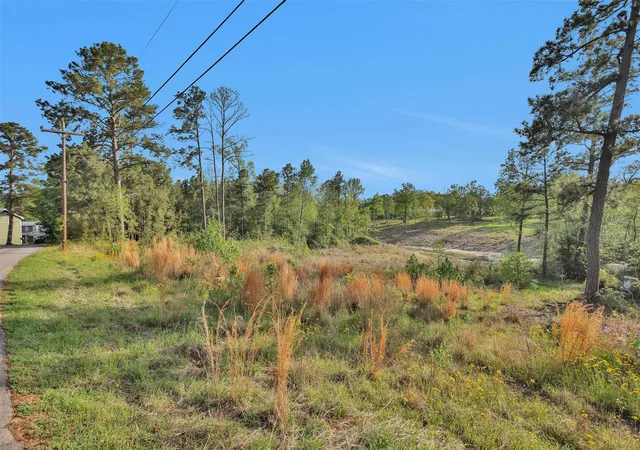 Photo 1 of Land for sale at 8 Lake Shore Ln, Huntsville, TX 77320 | MLS# 13665295 | Listing updated on 2026-09-01