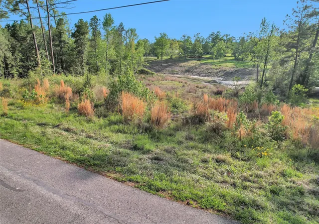 Photo 2 of Land for sale at 8 Lake Shore Ln, Huntsville, TX 77320 | MLS# 13665295 | Listing updated on 2026-09-01