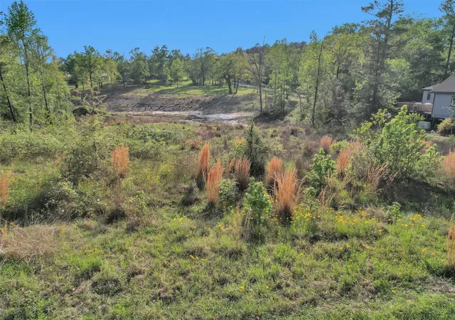 Photo 3 of Land for sale at 8 Lake Shore Ln, Huntsville, TX 77320 | MLS# 13665295 | Listing updated on 2026-09-01