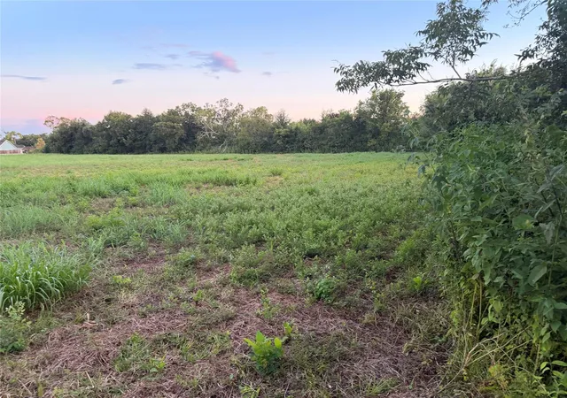 Photo 3 of Land for sale at 00 Fm 521, Brazoria, TX 77422 | MLS# 12413437 | Listing updated on 2026-09-11
