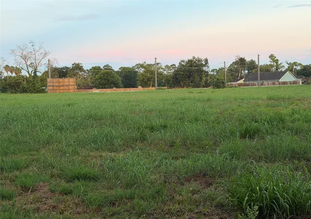 Photo 3 of Land for sale at 00 Fm 521, Brazoria, TX 77422 | MLS# 12413437 | Listing updated on 2026-09-11