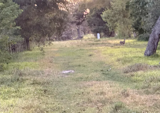 Photo 4 of Land for sale at 00 Fm 521, Brazoria, TX 77422 | MLS# 12413437 | Listing updated on 2026-09-11